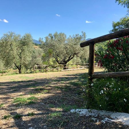 Villa Il Casolare Degli Alburni Castelcivita Exterior foto