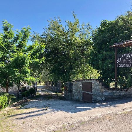 Villa Il Casolare Degli Alburni Castelcivita Exterior foto